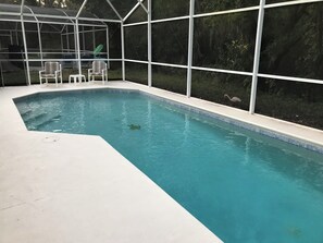 An indoor swimming pool with clear water, surrounded by a white pool deck and a glass enclosure. - Situated on a small gated community just a 12 minute from all Disney parks (Davenport)