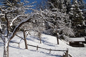 Schneeverdeckte Landschaft mit Bäumen und einem Holthaus.
