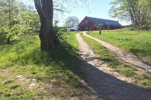 Ländliche Umgebung mit einem Feldweg, der zu einem roten Gebäude führt, umgeben von viel Grün.