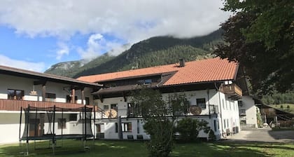 Ferme à Bichlbach avec piscine