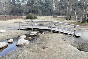 A wooden bridge over a stream in a forested area. - Holiday apartment with 1 bedroom (Amelinghausen)