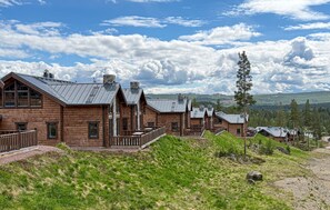 Exterior - Gorgeous home in Idre with sauna (Idre)