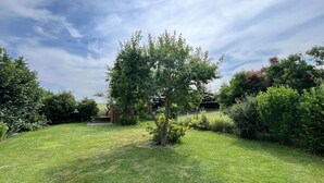 Un jardín bien cuidado con diversas especies de árboles y arbustos, cielo despejado y una valla visible.
