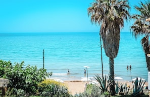 A beach with palm trees, clear blue water, and people swimming. - Corfu Dream Apartment Chrysion (Glifada)
