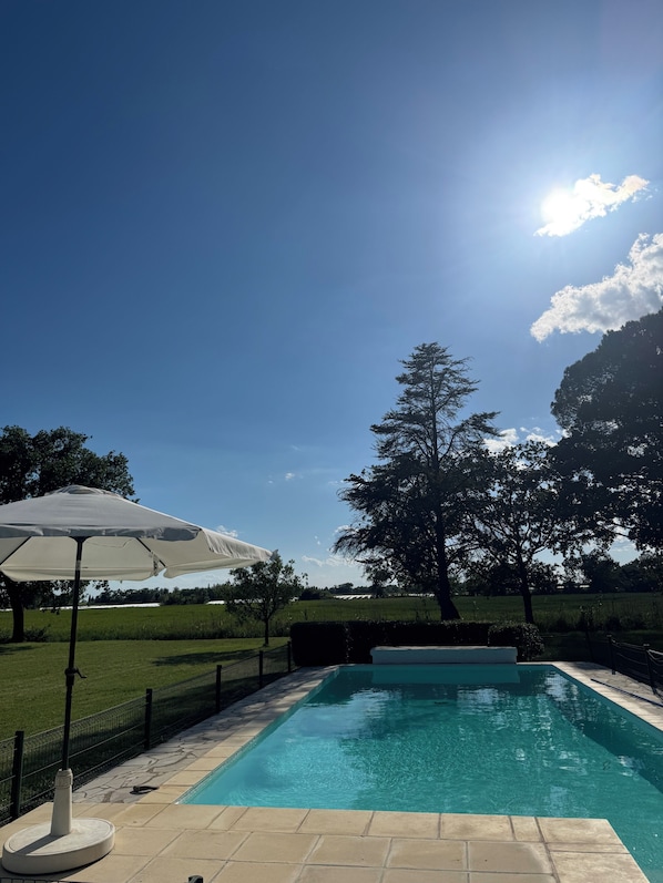 Un ciel bleu dégagé, une piscine et un grand arbre en arrière-plan.