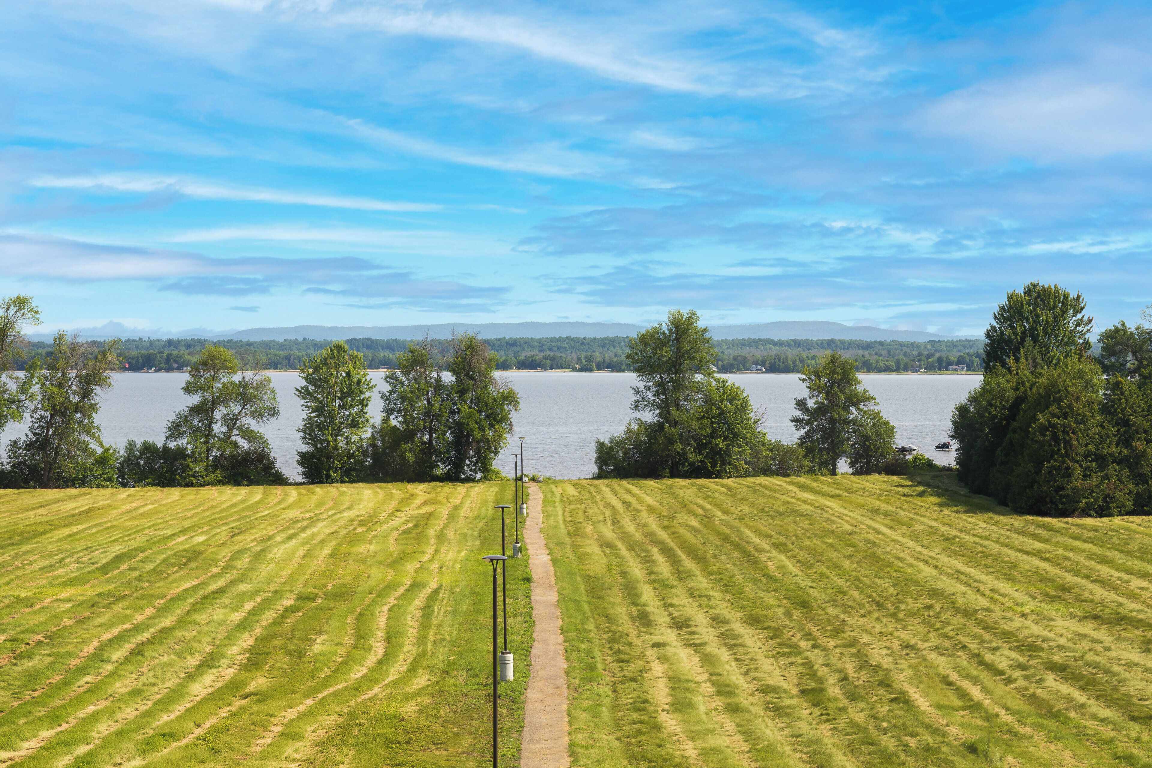 A grassy field with a path leading to a body of water, trees, and distant mountains.
