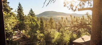 Built in 1908 this historic cabin is full of original charm with a penthouse view. Step inside and you are immediately greeted by a full unobstructed view of Elephant Rock. Sleeping up to 9 people.