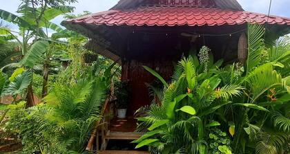 Battambang's Most Authentic Homestay
