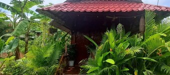 Battambang's Most Authentic Homestay