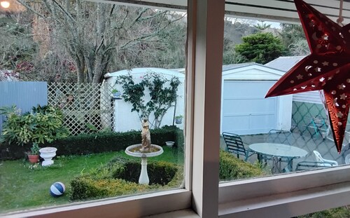 Frances's Patch with a rural backdrop in whanganui