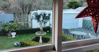 Frances's Patch with a rural backdrop in whanganui