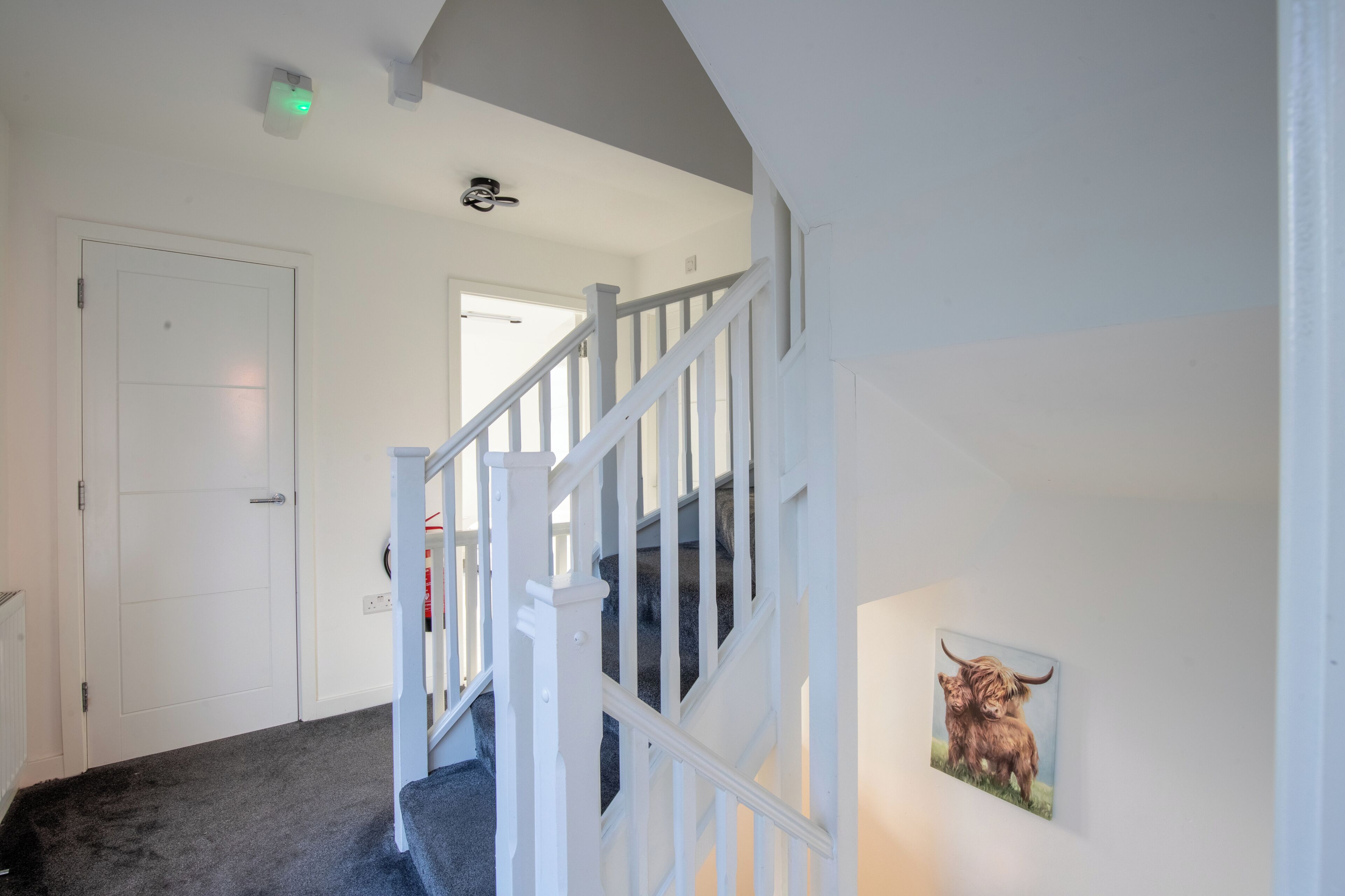 Un escalier avec des rampes blanches menant à un palier, une porte blanche et, sur le mur, un tableau encadré représentant une vache des Highlands.