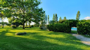 A well-maintained grassy area with a large tree, a hedge, and a clear sky. - Domaine Bardon (Chaunac)