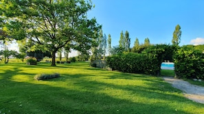 Un área verde bien cuidada con un árbol grande, un seto y un cielo despejado.