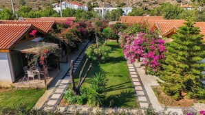 Zona residencial con casas, un sendero pavimentado y abundante vegetación.