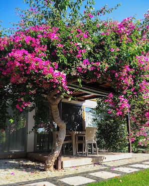 Un espacio exterior techado con mesa y sillas, rodeado de abundante follaje y árboles en flor.