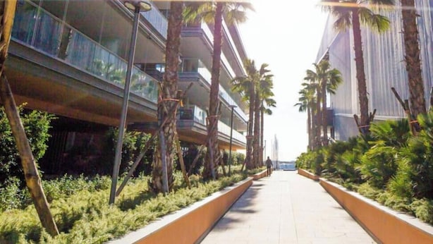 A pathway flanked by tall palm trees and modern buildings with a clear sky above. - Waterfront Lux| Studio|A/C|Parking Wifi By Tilo (Genoa)