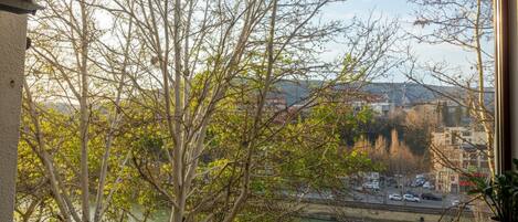 A room with a view of a river, trees, and buildings across the water.