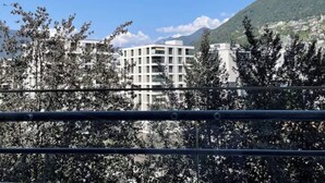 A modern building with a flat roof and multiple windows, surrounded by trees and a mountain in the background. - Panorama Ideal, 2.5-room vacation rental in Locarno (Locarno)