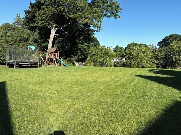 A grassy field with a playground structure and a large tree.