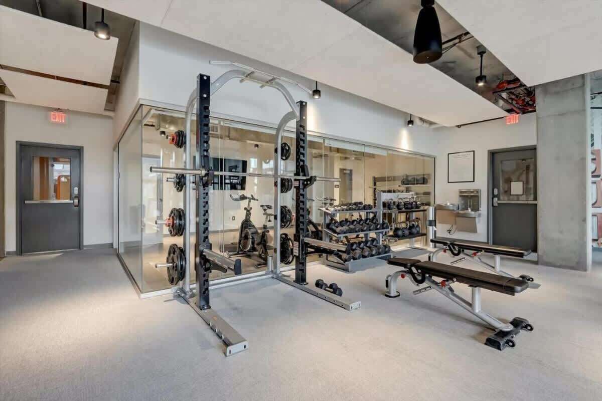 A modern gym with weightlifting equipment, benches, and dumbbells.