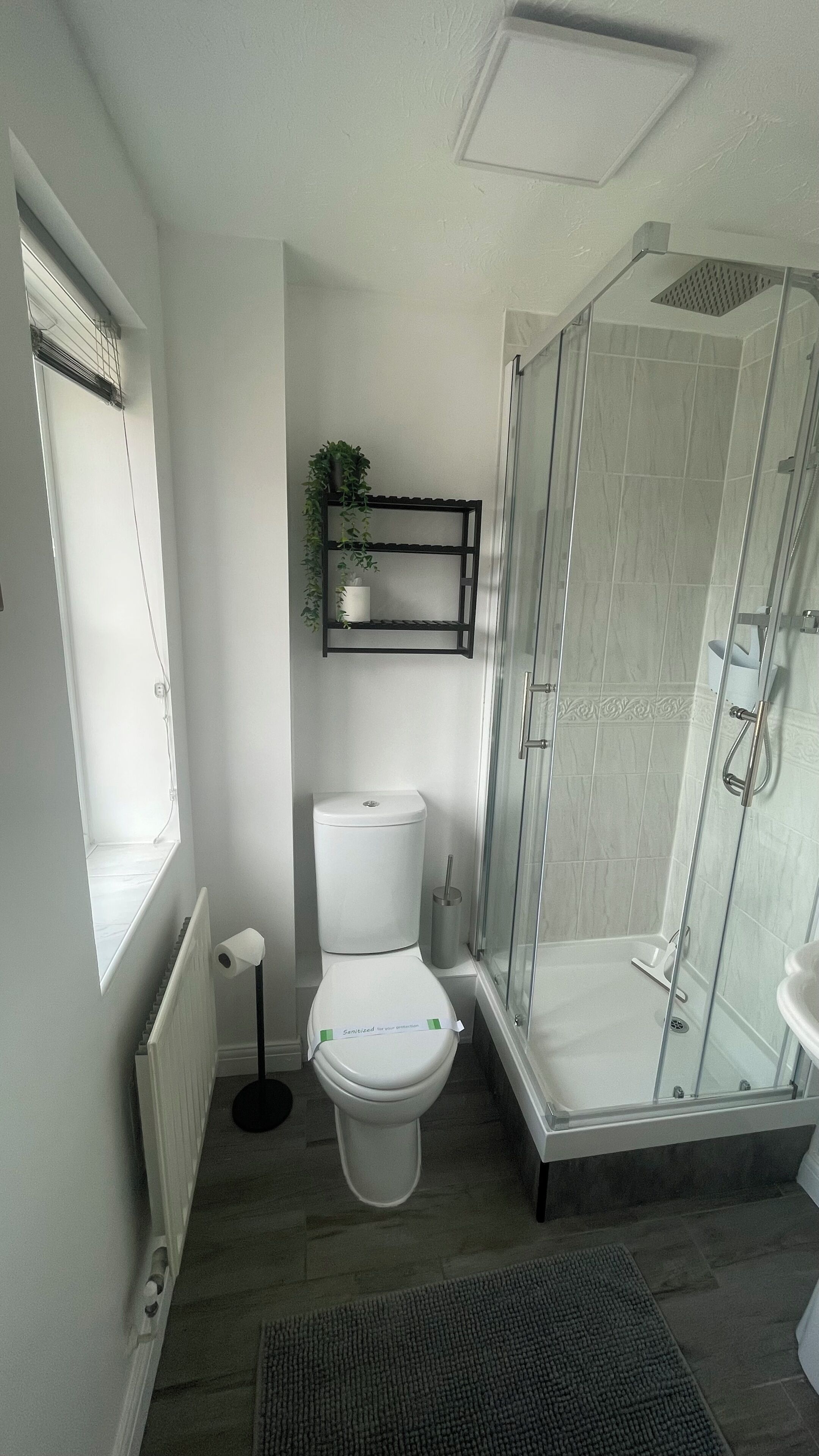 A modern bathroom with a toilet, a glass shower enclosure, a radiator, and a shelf with a plant.