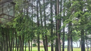 Una terrassa de fusta amb una cadira vermella, envoltada d'arbres i una zona enjardinada.