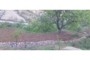 Deluxe Room | Property grounds - Ahmed Lodge (Gadrbaal)