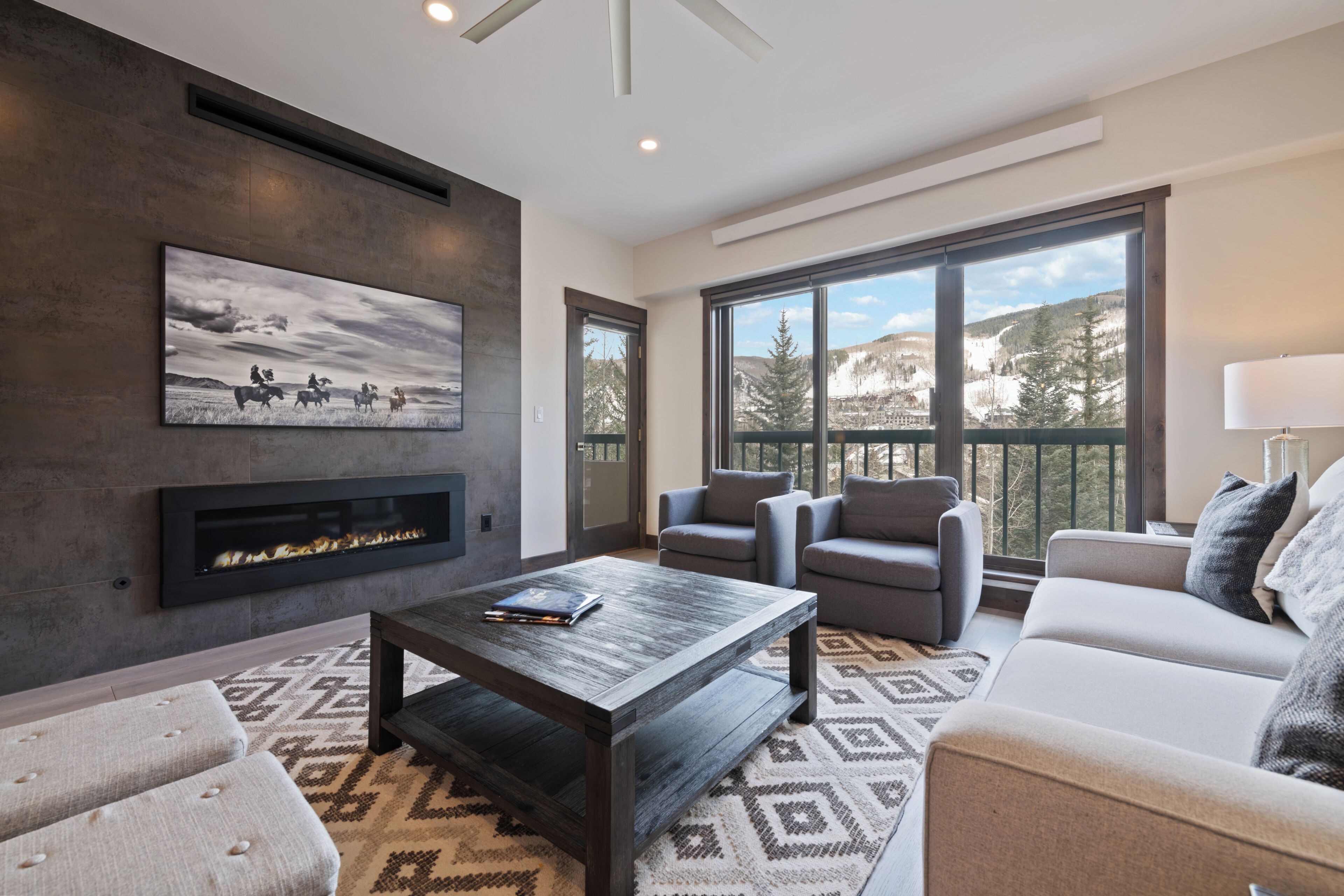 TV, fireplace, computer monitors, printers