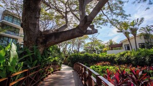 A wooden bridge with railings, surrounded by lush greenery and trees, leading to a building with large windows. - Elegance - Jungle meet with private pool (heated) (La Cruz de Huanacaxtle)