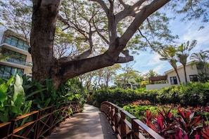 A wooden bridge with railings, surrounded by lush greenery and trees, leading to a building with large windows. - Elegance - Jungle meet with private pool (heated) (La Cruz de Huanacaxtle)