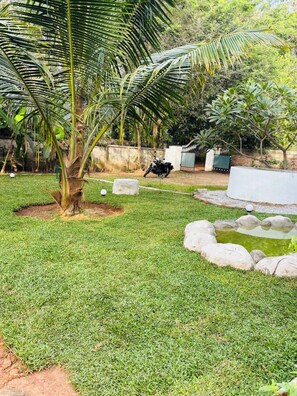 Un jardin bien entretenu, avec un palmier, un petit étang et une moto.