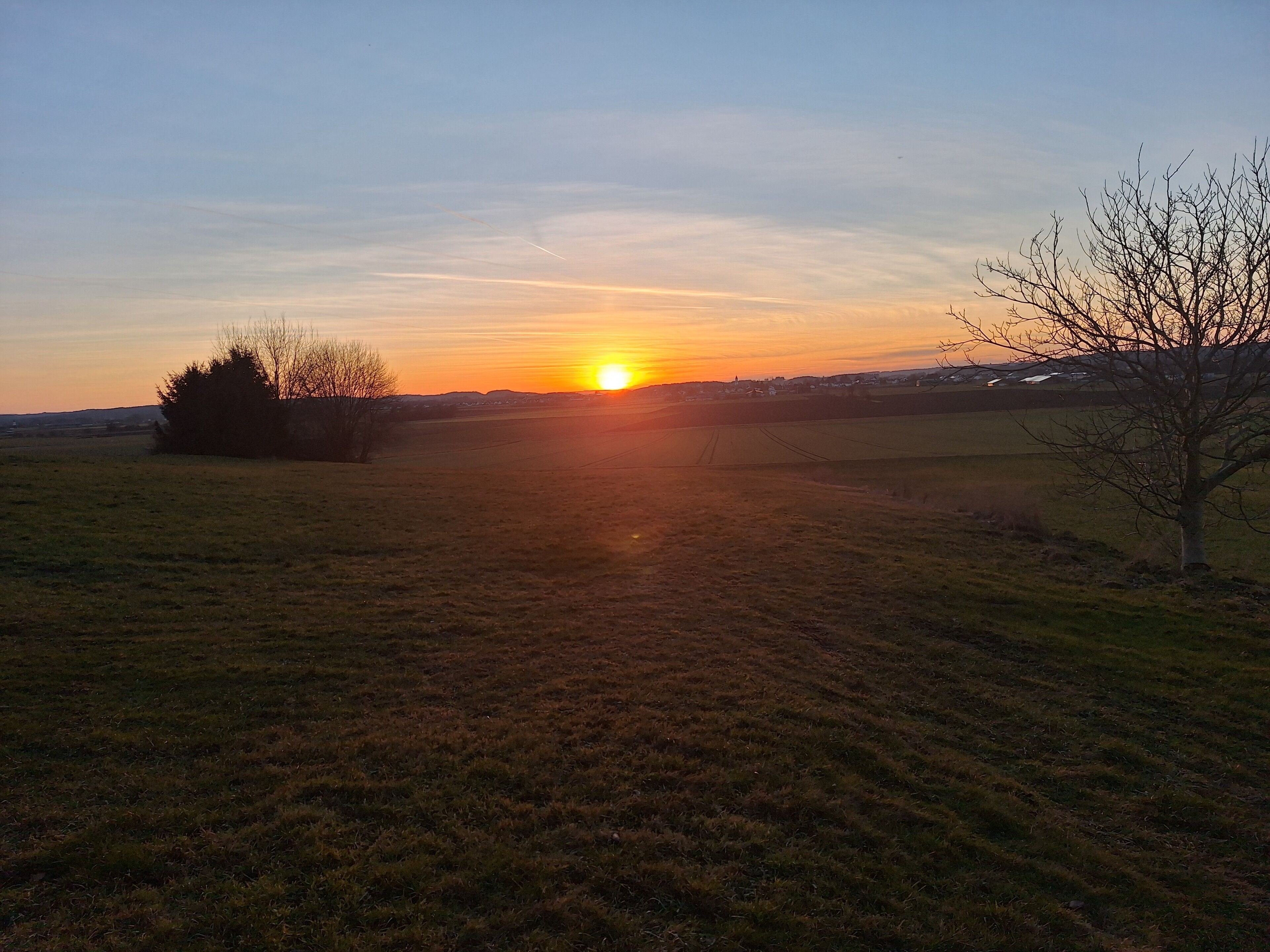 A sunset over a grassy field with a tree and a distant horizon.