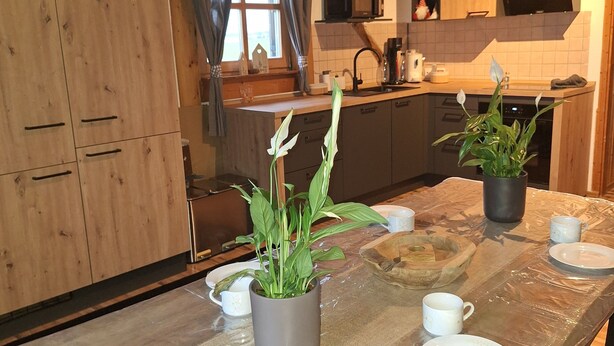 Et køkken med træskabe, et spisebord med afdækning og krukkeplanter.