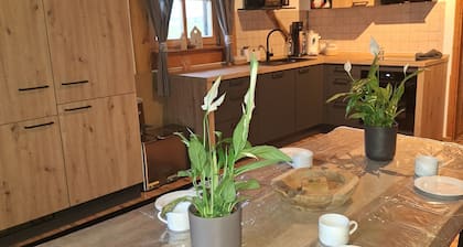 Vacation home Geierberg in an idyllic location with a wonderful view