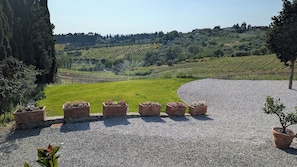 A gravel path with potted plants and a view of a vineyard.