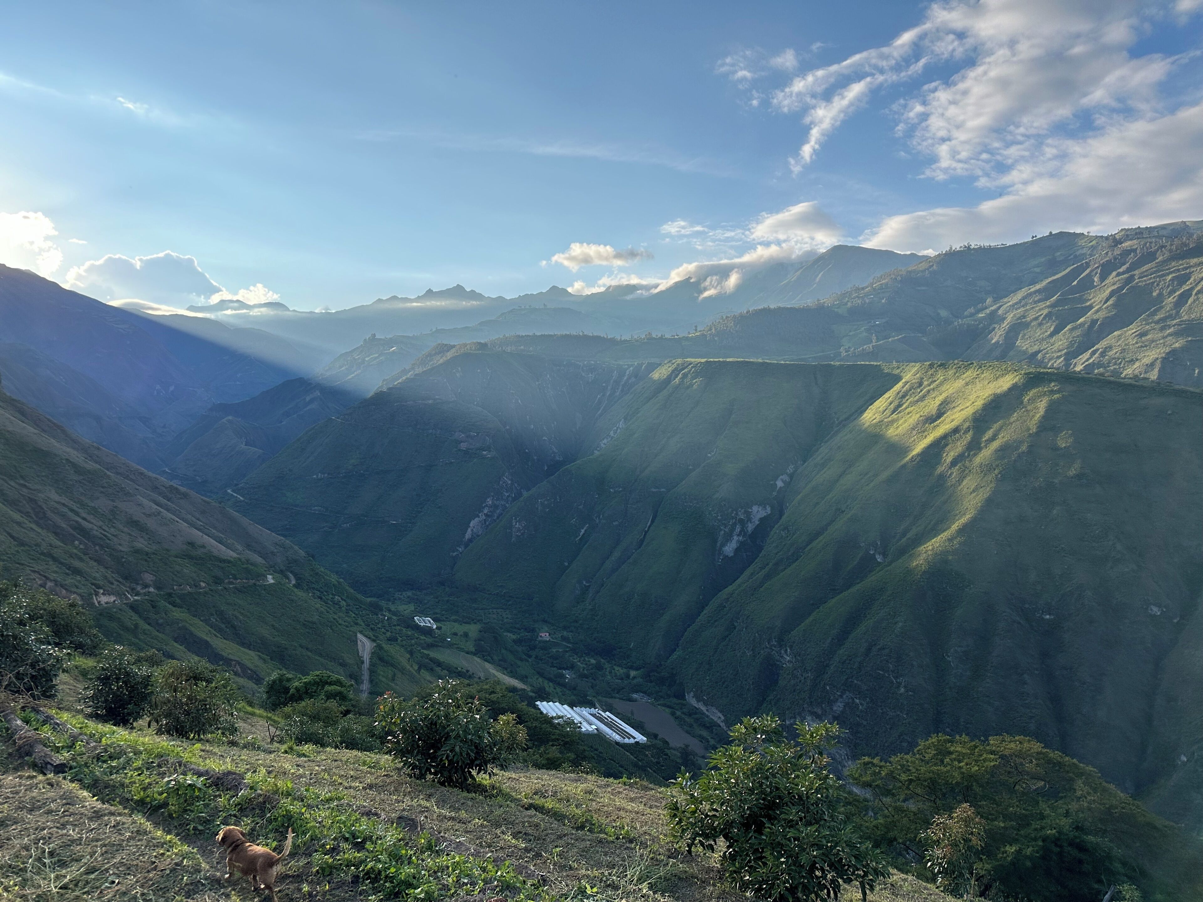 A mountainous landscape with a valley, a river, and a dog.