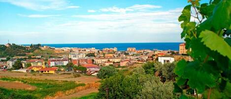 A coastal town with buildings, greenery, and a view of the sea.