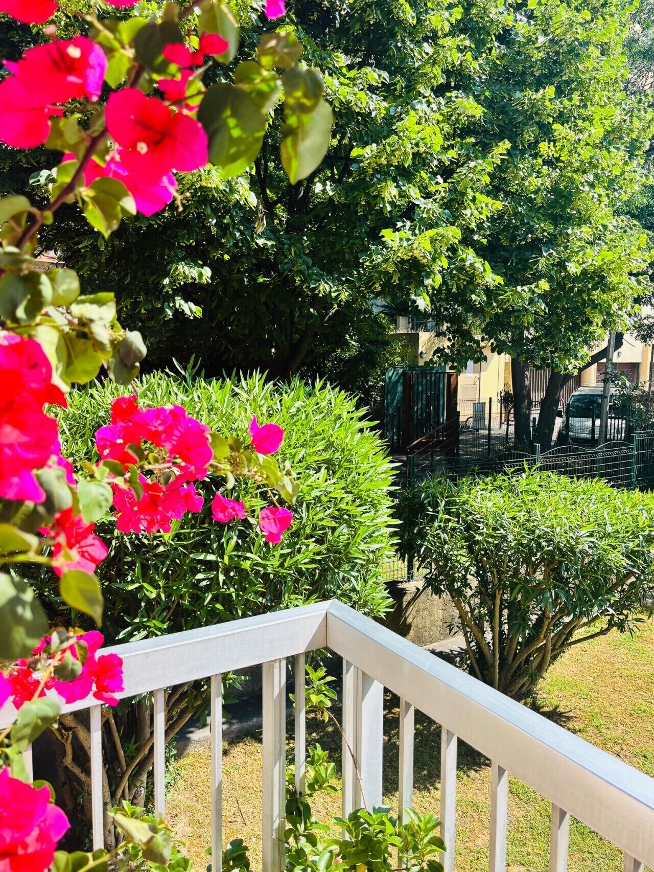 A garden with various plants and a white railing.