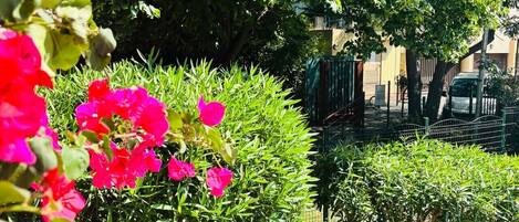 A garden with various plants and a white railing.