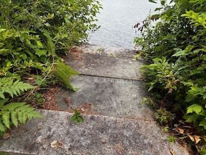 Un sendero de concreto bordeado por abundante vegetación, que conduce hacia una masa de agua.