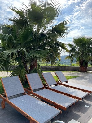 Een terras met vier ligbedden, palmbomen en uitzicht op het landschap.