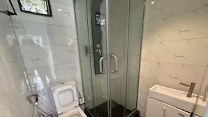 A bathroom with a glass-enclosed shower, a toilet, and a sink.