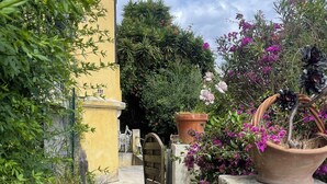 Un vialetto in pietra che conduce a un cancello, circondato da vegetazione rigogliosa e piante in vaso.