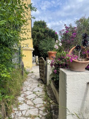 A narrow stone pathway leading to a gate, surrounded by lush greenery and potted plants. - 3-room apartment with garden near the sea (Nice)