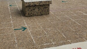 Una piscina con escalones y solárium azulejados.