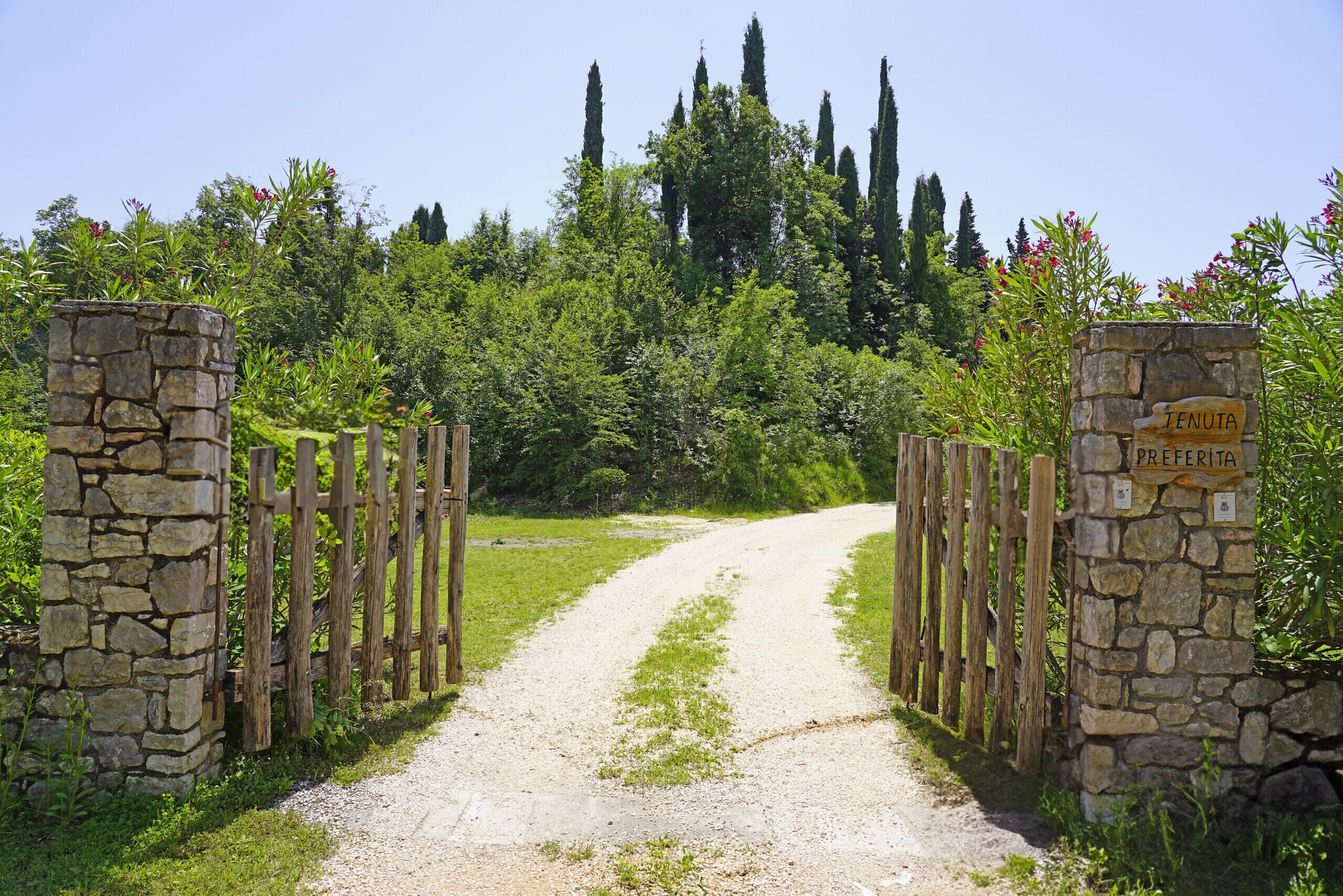 A gravel path leading through a stone gate with wooden posts, surrounded by lush greenery and tall trees.