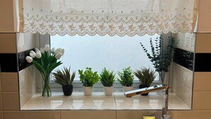 A kitchen with a stainless steel sink, a window with a lace curtain, and potted plants on the windowsill. - Enjoyable 3-bedroom apartment in charming Hampton Wick neighborhood (Hampton Wick)