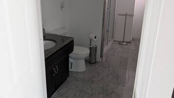 Douche, sèche-cheveux, serviettes fournies, papier toilette