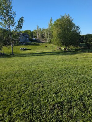 A grassy field with a house in the background.